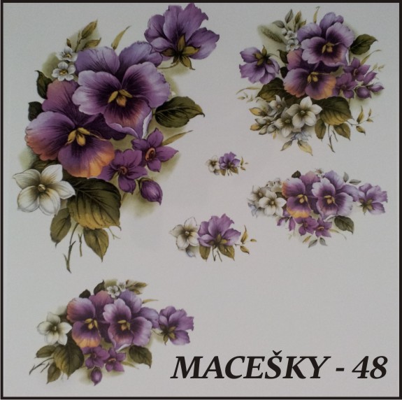 macesky_48.jpg