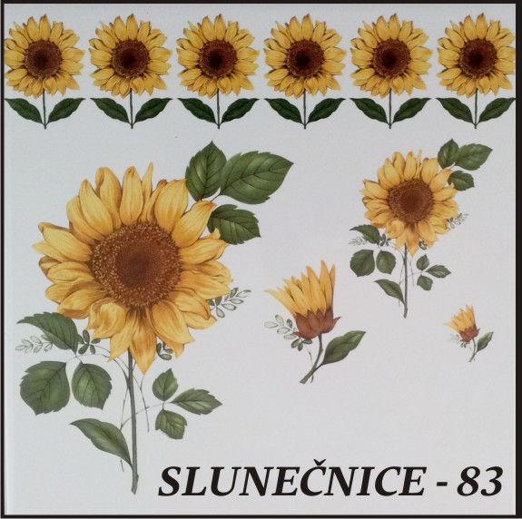 slunecnice_83.jpg